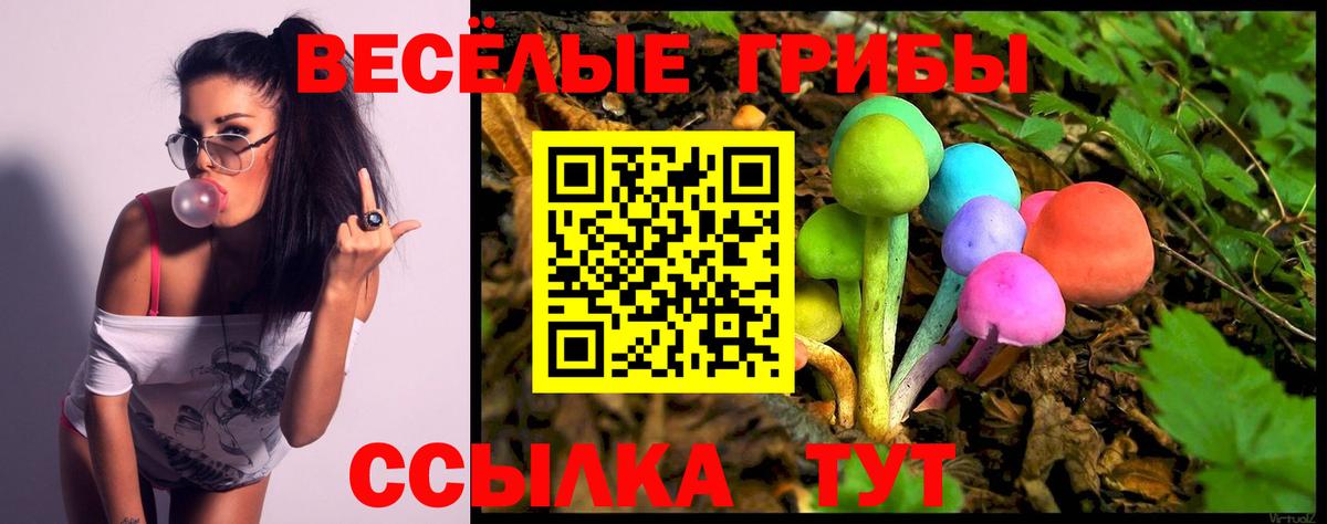 Псилоцибиновые грибы прущие грибы Октябрьский